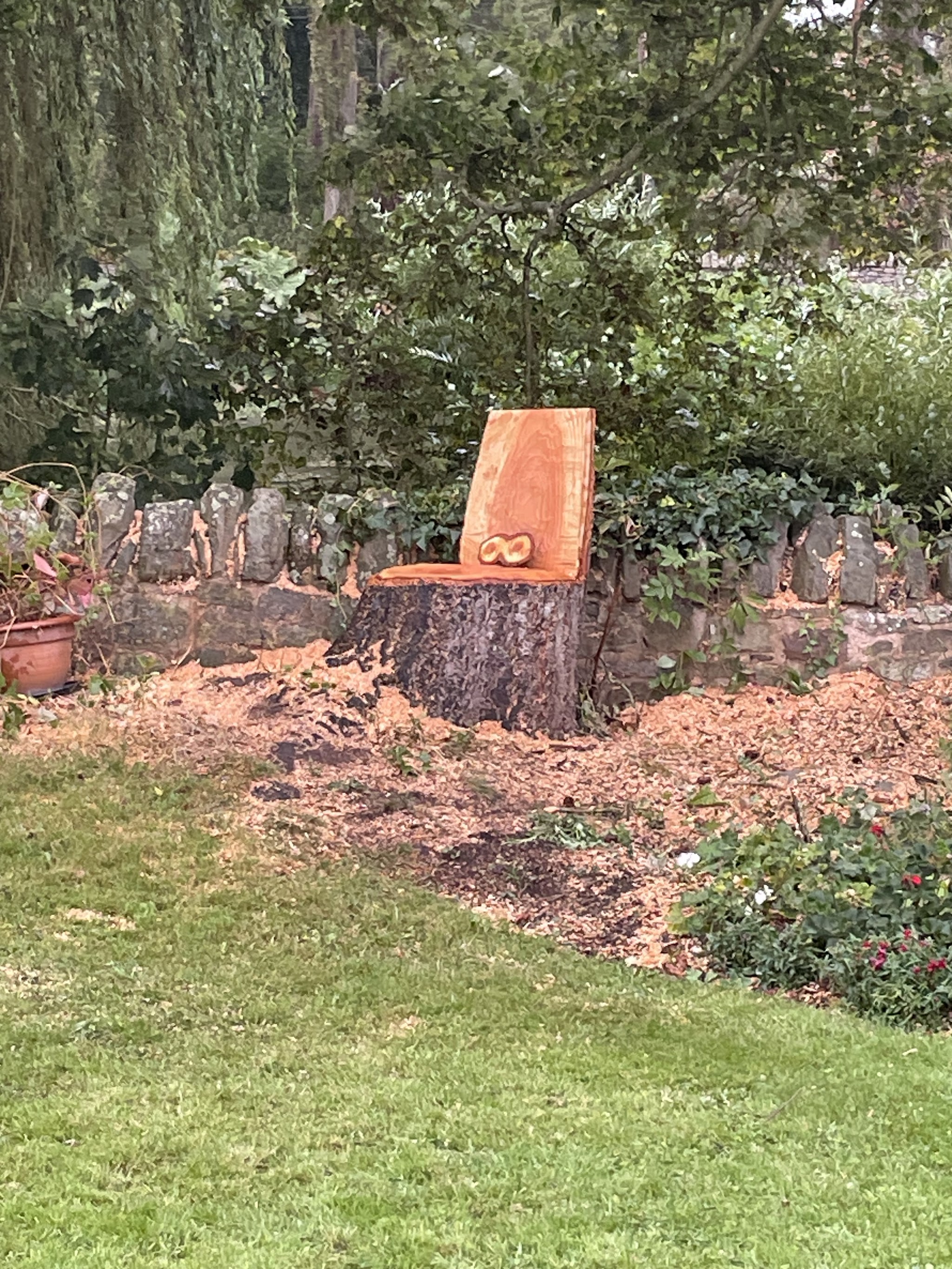 A seat carved out of the remaining stump of a felled tree
