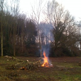 Clearing an old orchard