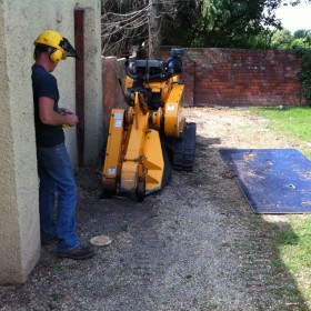 A compact stump grinder taken down a narrow side passage