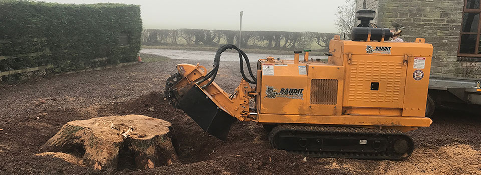 Our tracked stump grinder working on a large stump